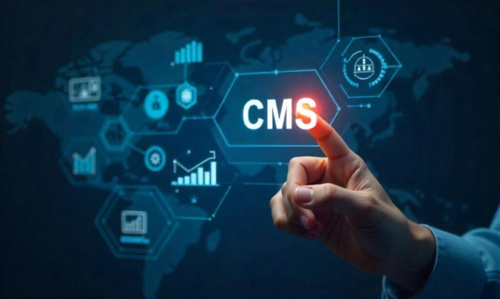 CMS development