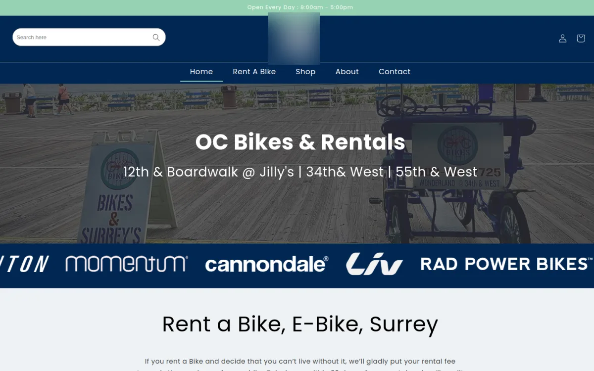 Bike Shop eCommerce Store website design