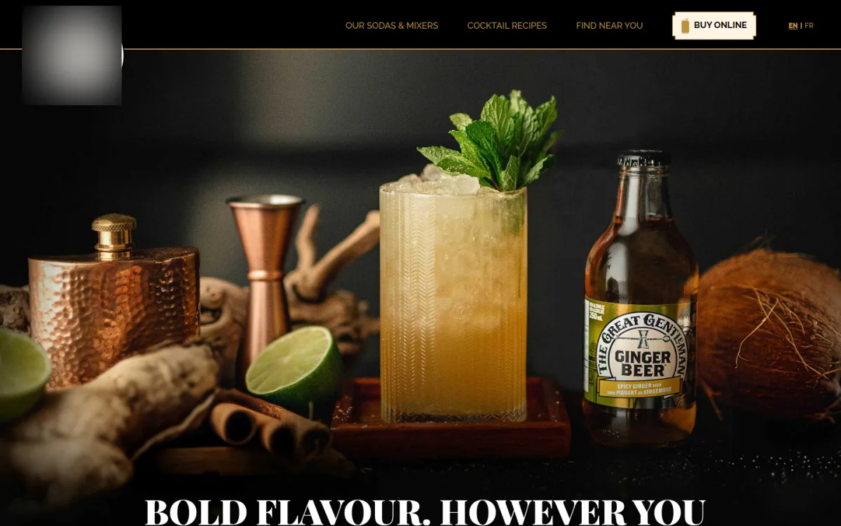 Cocktail Brand eCommerce Website website design